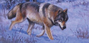 wolf-2