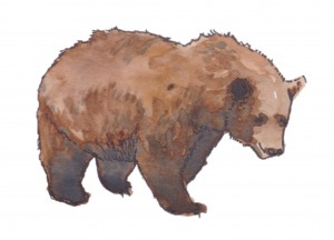 bear - Carnivores, Not Condos